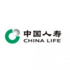 China Life Investment Holding